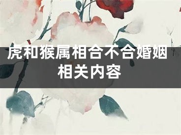 虎和猴属相合不合婚姻相关内容
