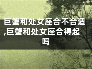 巨蟹和处女座合不合适,巨蟹和处女座合得起吗