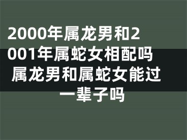 2000年属龙男和2001年属蛇女相配吗 属龙男和属蛇女能过一辈子吗