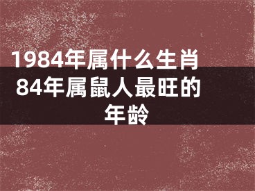 1984年属什么生肖 84年属鼠人最旺的年龄