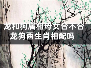 龙和狗属相母女合不合 龙狗两生肖相配吗