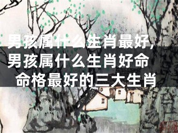 男孩属什么生肖最好,男孩属什么生肖好命 命格最好的三大生肖