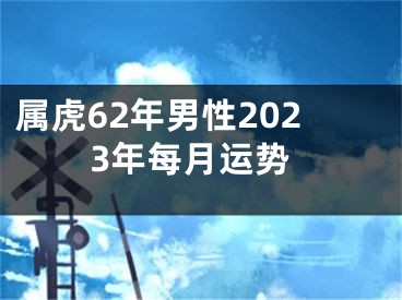 属虎62年男性2023年每月运势