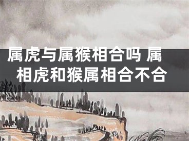 属虎与属猴相合吗 属相虎和猴属相合不合
