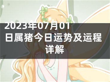 2023年07月01日属猪今日运势及运程详解