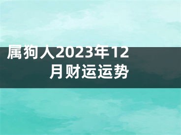 属狗人2023年12月财运运势