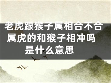 老虎跟猴子属相合不合 属虎的和猴子相冲吗是什么意思 