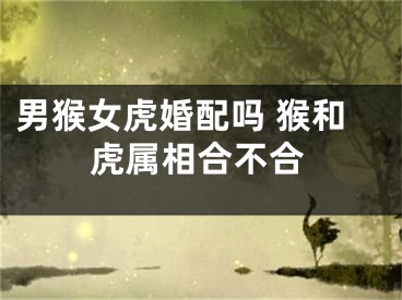 男猴女虎婚配吗 猴和虎属相合不合