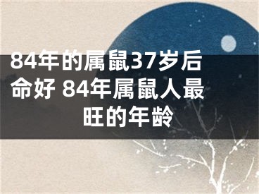 84年的属鼠37岁后命好 84年属鼠人最旺的年龄
