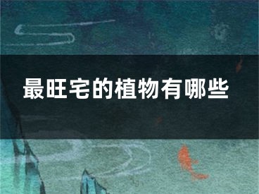 最旺宅的植物有哪些
