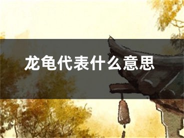 龙龟代表什么意思