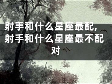 射手和什么星座最配,射手和什么星座最不配对