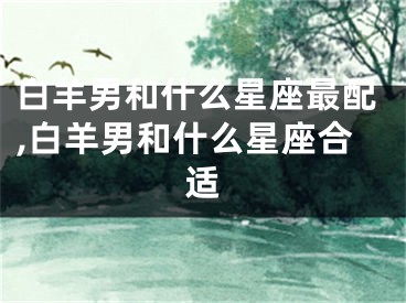 白羊男和什么星座最配,白羊男和什么星座合适
