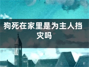 狗死在家里是为主人挡灾吗