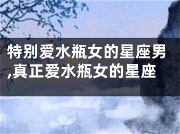 特别爱水瓶女的星座男,真正爱水瓶女的星座