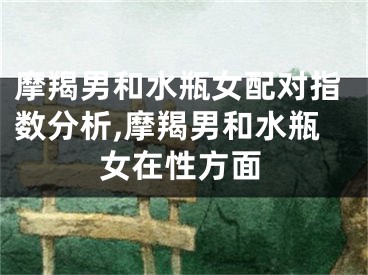 摩羯男和水瓶女配对指数分析,摩羯男和水瓶女在性方面