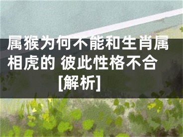 属猴为何不能和生肖属相虎的 彼此性格不合[解析]
