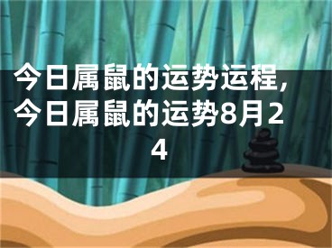 今日属鼠的运势运程,今日属鼠的运势8月24