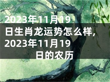 2023年11月19日生肖龙运势怎么样,2023年11月19日的农历