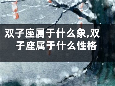 双子座属于什么象,双子座属于什么性格