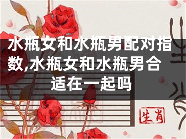 水瓶女和水瓶男配对指数,水瓶女和水瓶男合适在一起吗