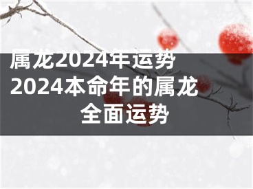 属龙2024年运势 2024本命年的属龙全面运势