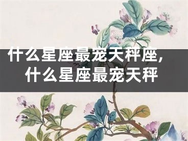 什么星座最宠天秤座,什么星座最宠天秤