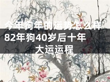 今年狗年的运势怎么样82年狗40岁后十年大运运程