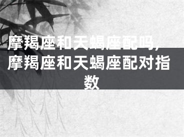 摩羯座和天蝎座配吗,摩羯座和天蝎座配对指数
