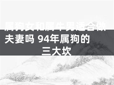 属狗女和属牛男适合做夫妻吗 94年属狗的三大坎