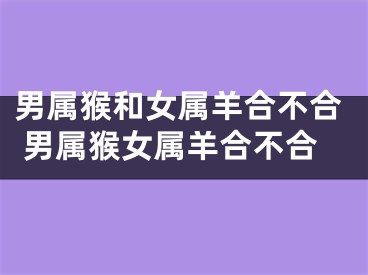 男属猴和女属羊合不合 男属猴女属羊合不合