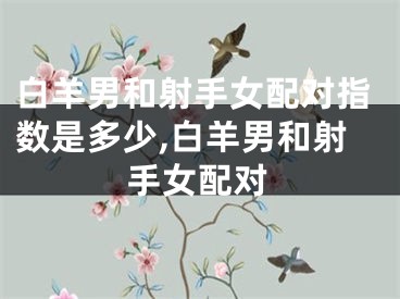 白羊男和射手女配对指数是多少,白羊男和射手女配对