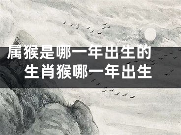 属猴是哪一年出生的 生肖猴哪一年出生