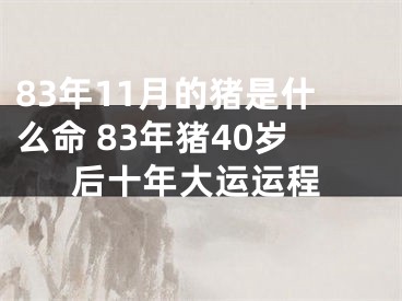 83年11月的猪是什么命 83年猪40岁后十年大运运程