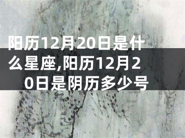 阳历12月20日是什么星座,阳历12月20日是阴历多少号