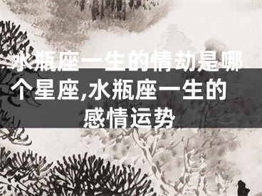 水瓶座一生的情劫是哪个星座,水瓶座一生的感情运势