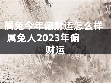 属兔今年偏财运怎么样 属兔人2023年偏财运