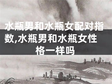 水瓶男和水瓶女配对指数,水瓶男和水瓶女性格一样吗