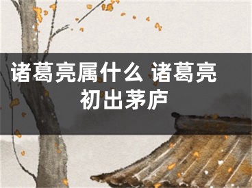 诸葛亮属什么 诸葛亮初出茅庐