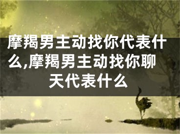 摩羯男主动找你代表什么,摩羯男主动找你聊天代表什么
