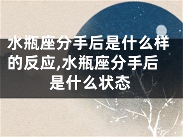 水瓶座分手后是什么样的反应,水瓶座分手后是什么状态