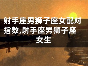 射手座男狮子座女配对指数,射手座男狮子座女生