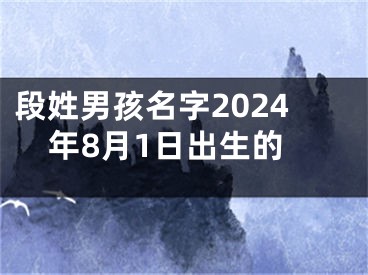段姓男孩名字2024年8月1日出生的