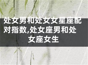 处女男和处女女星座配对指数,处女座男和处女座女生