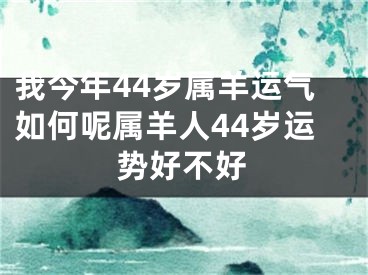 我今年44岁属羊运气如何呢属羊人44岁运势好不好