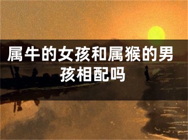 属牛的女孩和属猴的男孩相配吗