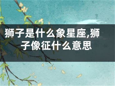 狮子是什么象星座,狮子像征什么意思