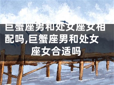 巨蟹座男和处女座女相配吗,巨蟹座男和处女座女合适吗