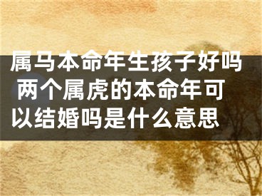 属马本命年生孩子好吗 两个属虎的本命年可以结婚吗是什么意思 