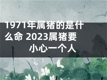 1971年属猪的是什么命 2023属猪要小心一个人